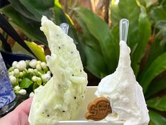 -野人先生Gelato(上海长宁龙之梦店)