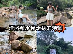 -广州白江湖森林公园