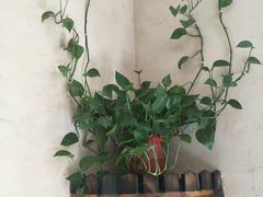 -孙三拨按摩(大纺店)