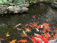 -广州白天鹅宾馆