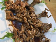 -渝半城经典川粤菜(重庆天地店)