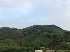 -帐篷客·溪龙茶谷度假酒店