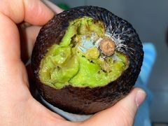 -麦德龙(湖里店)