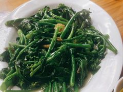-乌文新澄海卤鹅店