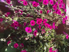 北方国际青年旅舍-哈尔滨北方国际青年旅舍(中央大街店)