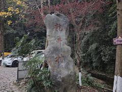 -龙井村