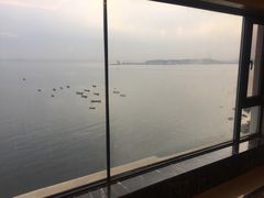 -渔公码头·九龙湾国际饭店