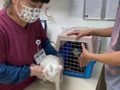-宠颐生中康贝怡动物医院