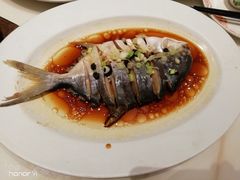 -稻香酒家·35年老字号(侨光店)