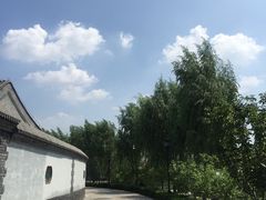-Tian品