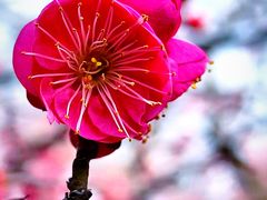 -白塘生态植物园