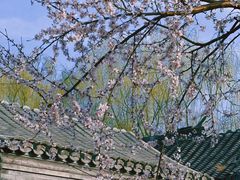 -三里河公园