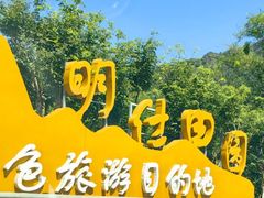 -明仕田园