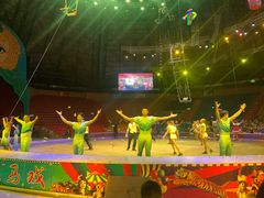 -俄罗斯国家大马戏团