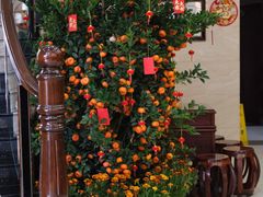 -轩记海鲜餐厅·四十五年老字号·经典粤菜(西区彩虹店)