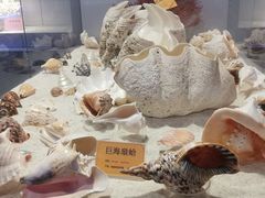 -福州罗源湾海洋世界旅游区