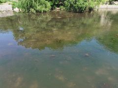 -碓臼峪自然风景区