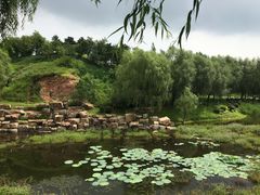 -莫子山公园