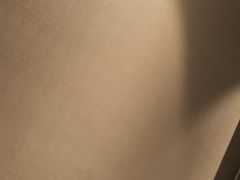 -西安阳光国际大酒店·中餐厅