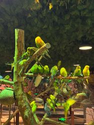 -酷嗒动物文化乐园(cutezoo西溪乐天城店)