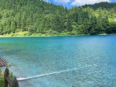 -武陵山森林公园