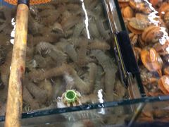 -明记海鲜大排档(巽寮湾店)