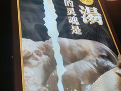 -顺德公广东猪肚鸡·煲仔饭(白石洲店)