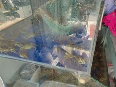-阳澄湖大闸蟹·琼灵阁牌品牌连锁(吴中总店)