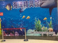 -沈阳HAI乐园