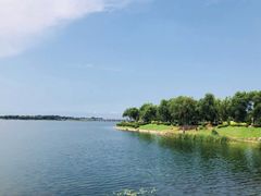 -丁香湖公园