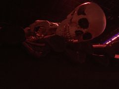-芜湖方特东方神画