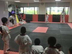 -金翼跆拳道巴西柔术拳击格斗学院