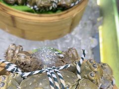 -章吴记喜瑞餐厅(东东城店)