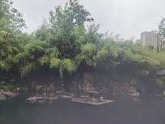 -水绘园