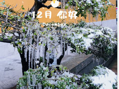 -杭州上天竺法喜讲寺