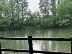-东湖落雁景区
