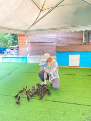 点击看大图 -萌宠亲子动物乐园(槐房万达店)