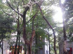 -西湖天地