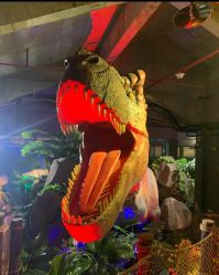 -恐龙探索乐园(磁器口店)