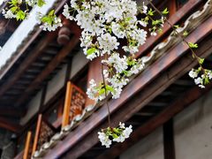 -都江堰景区