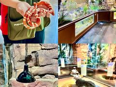 -帕帕拉兹宠物(亚洲旗舰店)