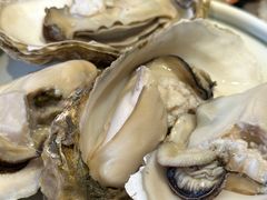 -77号渔船·蒸海鲜青岛菜(积米崖店)