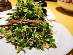 黑腐竹香椿苗-素虎小呆鸟(西二旗店)