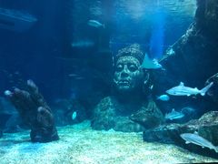 -暹罗海洋世界