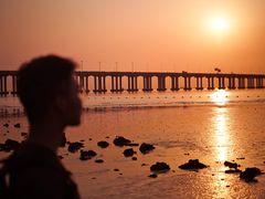 -宝安西湾红树林湿地公园