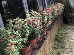 -生态苑农庄(十里画廊遇龙河店)