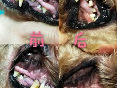 -我爱吾宠宠物美容院(朝阳路店)