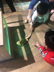 -酷嗒动物文化乐园(cutezoo西溪乐天城店)