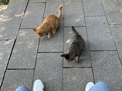 -狼山风景名胜区