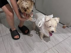 -FAELING PETS美天灵宠物(合生汇店)